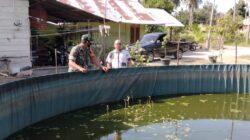 IMG-20220204-WA0006 IMG-20220204-WA0006