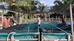 IMG-20220204-WA0008 IMG-20220204-WA0008