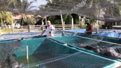 IMG-20220204-WA0009 IMG-20220204-WA0009