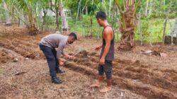 IMG-20220206-WA0017