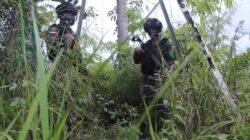 IMG-20220427-WA0062