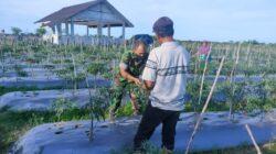 IMG-20220517-WA0017