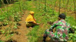 IMG-20220527-WA0031 IMG-20220527-WA0031