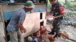 IMG-20220616-WA0029 IMG-20220616-WA0029