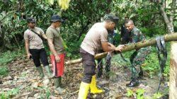 IMG-20220624-WA0012 IMG-20220624-WA0012