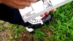 IMG_20220617_210423 IMG_20220617_210423