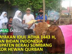 Merayakan Idul Adha 1443 H Ikatan Bidan Indonesia Kabupaten Berau Sumbang 11 Hewan Qurban