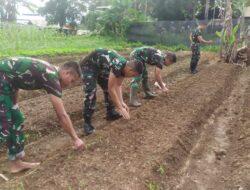 Demi Kesejahteraan Masyarakat Di Perbatasan Papua, Satgas Yonif 123/Rajawali Buka Lahan Tidur