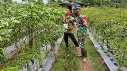 IMG-20220724-WA0009 IMG-20220724-WA0009