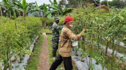 IMG-20220724-WA0010 IMG-20220724-WA0010