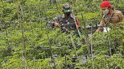 IMG-20220724-WA0011 IMG-20220724-WA0011