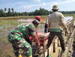 Bentuk Dukungan Pada Pembangunan Desa, Babinsa 17/Idt Karya Bakti Bangun Saluran Irigasi