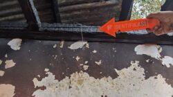 IMG-20220806-WA0053