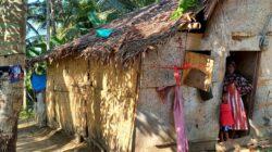 IMG-20220815-WA0019 IMG-20220815-WA0019