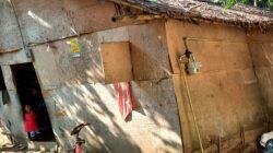 IMG-20220815-WA0021 IMG-20220815-WA0021