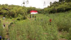 IMG-20220823-WA0039 IMG-20220823-WA0039