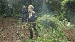 IMG-20220823-WA0040 IMG-20220823-WA0040