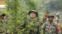 IMG-20220823-WA0041 IMG-20220823-WA0041