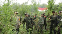 IMG-20220823-WA0042 IMG-20220823-WA0042