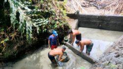 IMG-20220909-WA0018