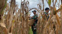 IMG-20220915-WA0021 IMG-20220915-WA0021