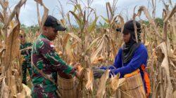 IMG-20220915-WA0022 IMG-20220915-WA0022