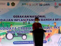 Bank Indonesia Dukung Program Gertam Cabai