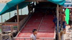 IMG-20221024-WA0026