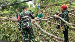 IMG-20221225-WA0006 IMG-20221225-WA0006