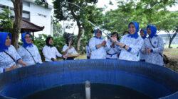 IMG-20230121-WA0001