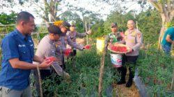 IMG-20230222-WA0027
