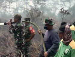 Kerahkan Peralatan yang Ada, Tim Karhutla Mempawah Padamkan Titik Api
