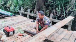 IMG-20230517-WA0003