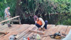 IMG-20230517-WA0004