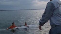 IMG-20230522-WA0008 IMG-20230522-WA0008