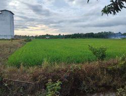 Vitalis Harapkan Peran Pemerintah Untuk Tingkatkan Kualitas Petani dan Peternak.