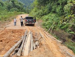 Pemkab Berau Hidupkan Kembali Wacana Jalan Lingkar Kelay, Solusi Kurangi Risiko Kecelakaan