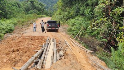 Pemkab Berau Hidupkan Kembali Wacana Jalan Lingkar Kelay, Solusi Kurangi Risiko Kecelakaan