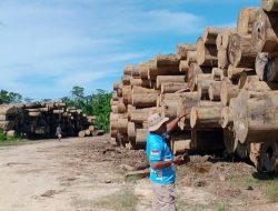 Lahan Bersertifikat di Talisayan Diduga Diserobot, Petani di Blokir Masuk