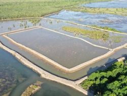 Subroto Soroti Penurunan Aktivitas Tambak Udang di Berau, Dorong Keterlibatan Tenaga Ahli