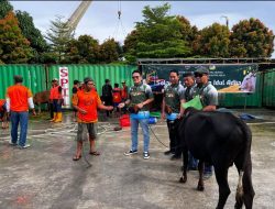 KUPP Tanjung Redeb dan Mitra, Kurban Bersama