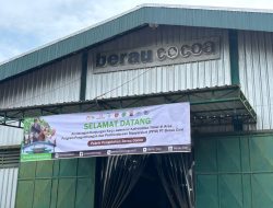 Berau Cocoa Bina 538 Petani Kakao, Targetkan Kemandirian Ekonomi Lewat Ekspansi Kebun