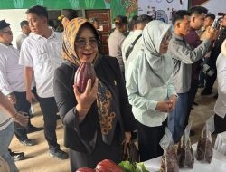Syarifatul Syadiah Apresiasi Peran Berau Cocoa, Dorong Pemerintah Lebih Proaktif Dukung Petani Kakao