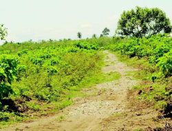 DPRD Dorong Pemanfaatan Lahan Tidur untuk Dukung Ketahanan Pangan
