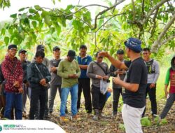 PT Berau Coal Dorong Petani Jadi ‘Master Trainer’ Kakao