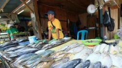 Program MBG di Berau Disorot Subroto, Anak Kenyang, Nelayan dan Petani Lokal Tak Kebagian Rezeki