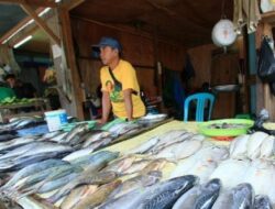 Program MBG di Berau Disorot Subroto, Anak Kenyang, Nelayan dan Petani Lokal Tak Kebagian Rezeki