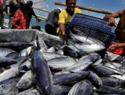 Sri Kumalasari Dorong Berau Blue Food: Angkat Branding Hasil Laut