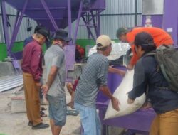 Sakirman Dorong Alsintan Berau: Padi Aman Saat Hujan