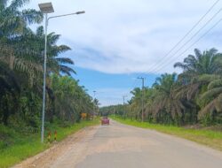 Sutami Soroti Infrastruktur Pertanian, Sentra Jagung dan Sawit Perlu Prioritas